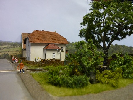 MEC Stadthagen: Der Übergang Enzerstraße: Vegetation am Krummen Bach. September 2012