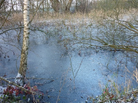 MEC Stadthagen: Stadthagen-West: Im Winkel zwischen DB-Strecke und den nach Süden schwenkenden RStE-Gleisen liegt der früher sehr beliebte "Katzenteich". Mittlerweile stark zugewachsen. November 2010 